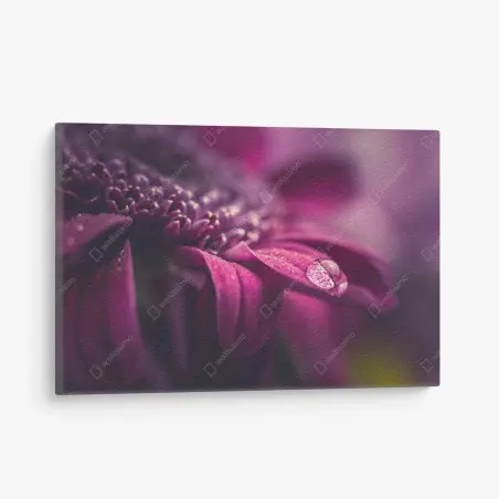 Leinwandbild lila makroblüte mit tautropfen – Wallnifity®
