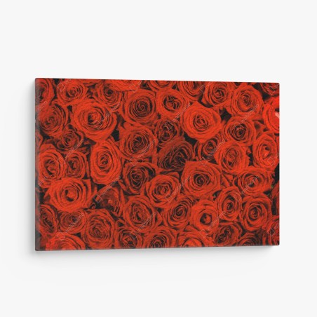 Leinwandbild prächtiger strauß roter rosen – Wallnifity®