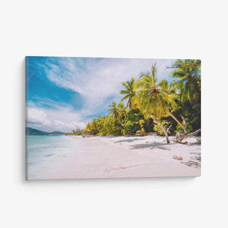 Leinwandbild raureifbedeckte bäume bei sonnenaufgang – Wallnifity®