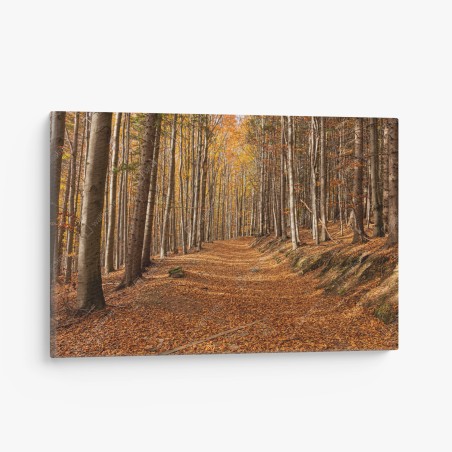 Leinwandbild herbstlicher waldweg mit goldenen blättern – Wallnifity®