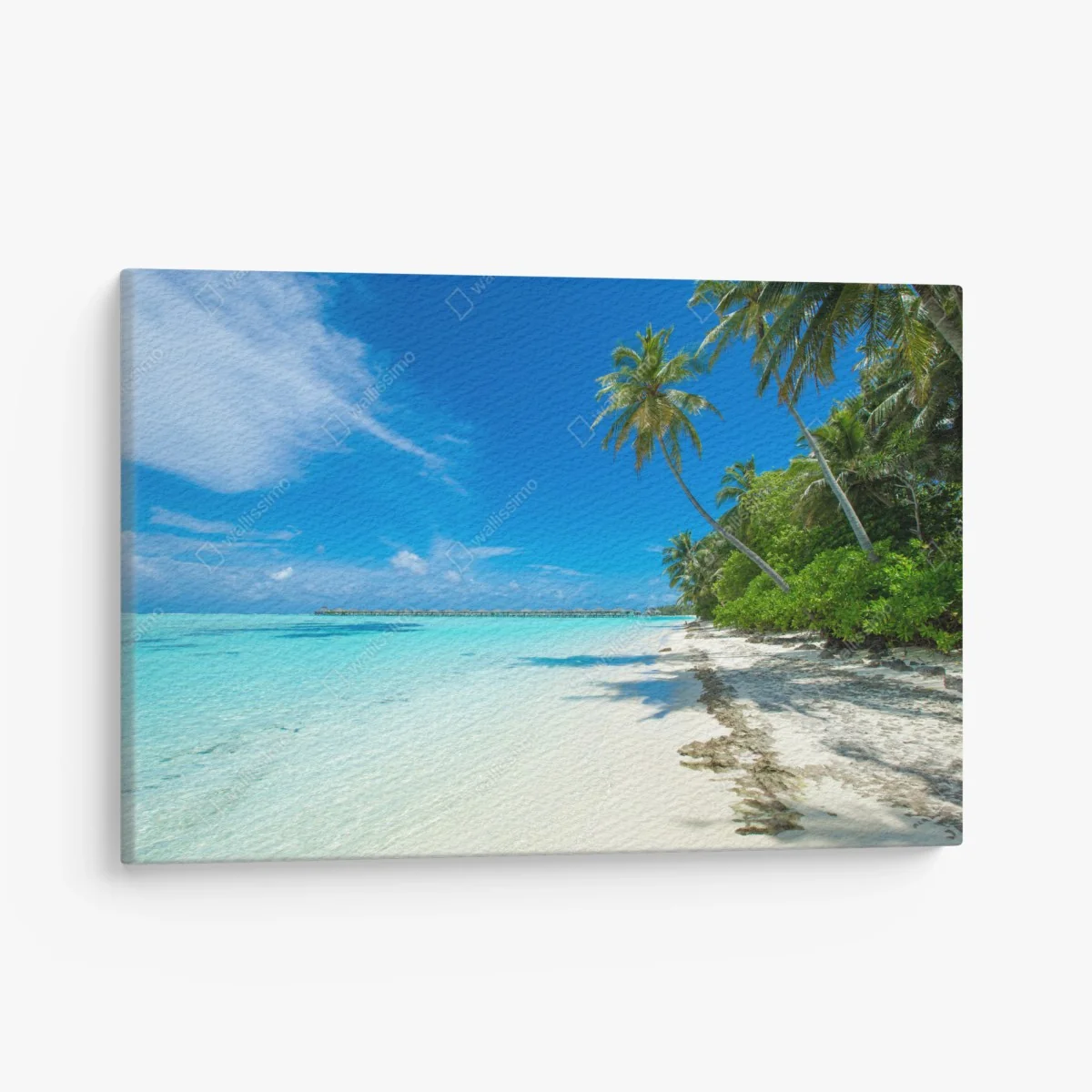 Leinwandbild tropischer strand auf den Malediven – Wallnifity®