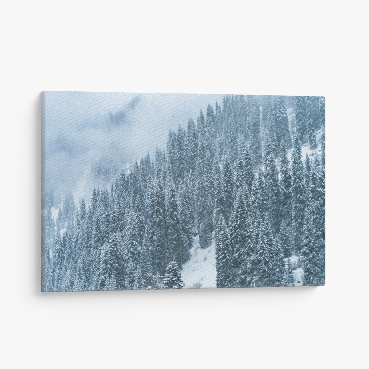 Leinwandbild nebeliger schneebedeckter kiefernwald – Wallnifity®