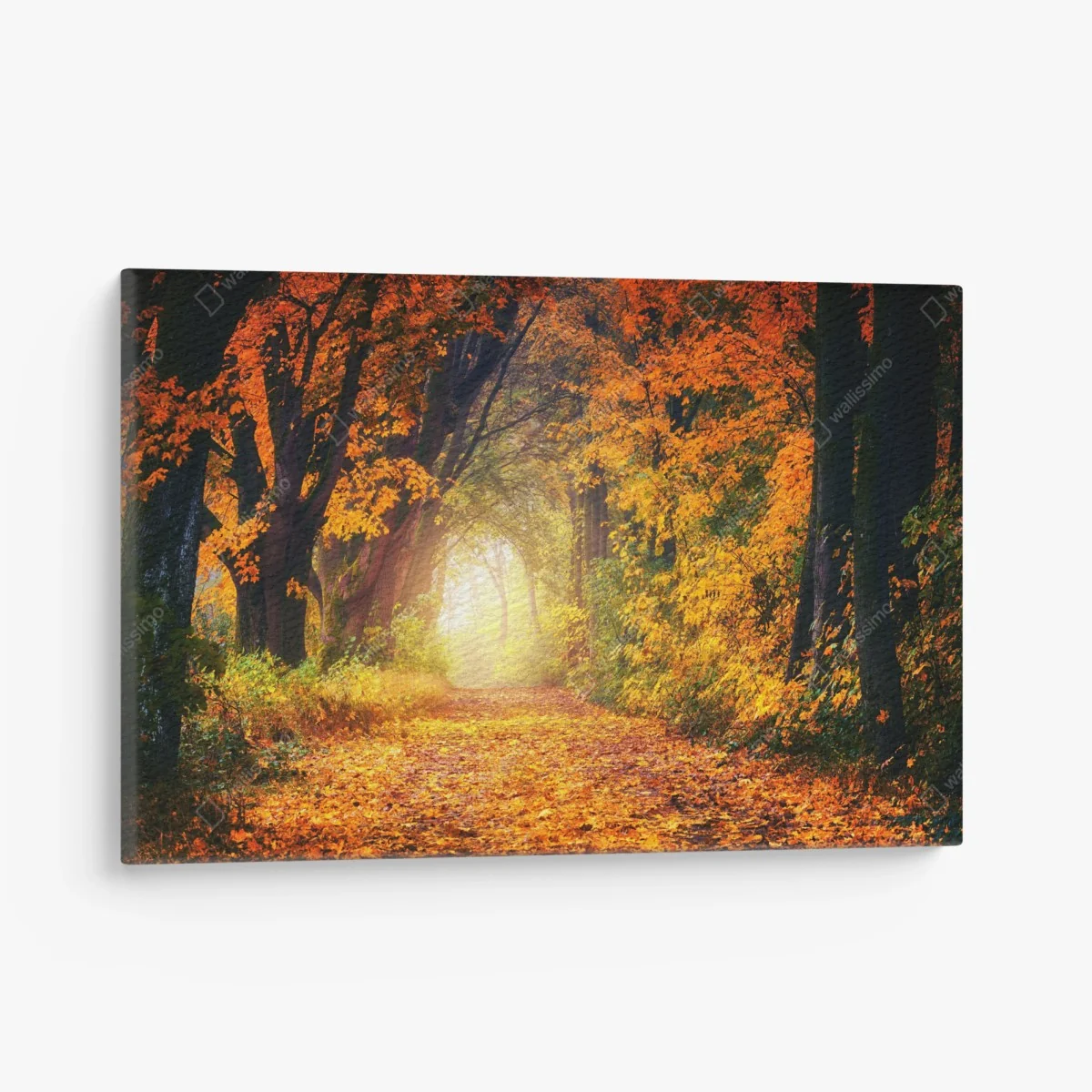 Leinwandbild herbstlicher waldpfad im goldenen licht – Wallnifity® Leinwandbild herbstlicher waldpfad im goldenen licht – Wallnifity®