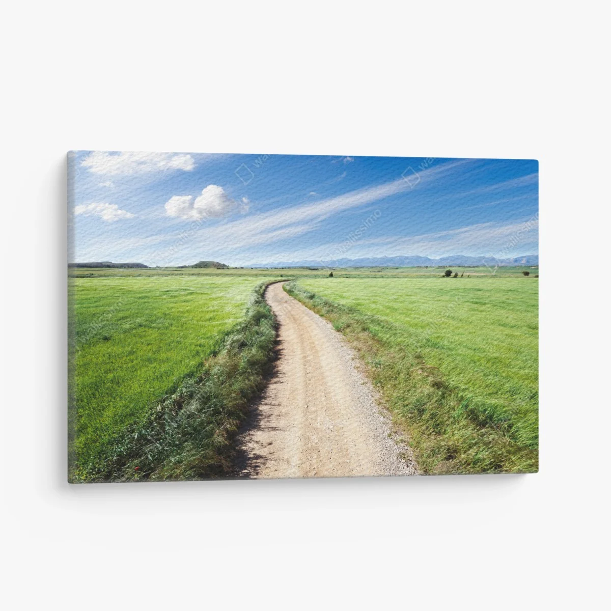 Leinwandbild gewundener landweg durch grüne wiesen – Wallnifity®