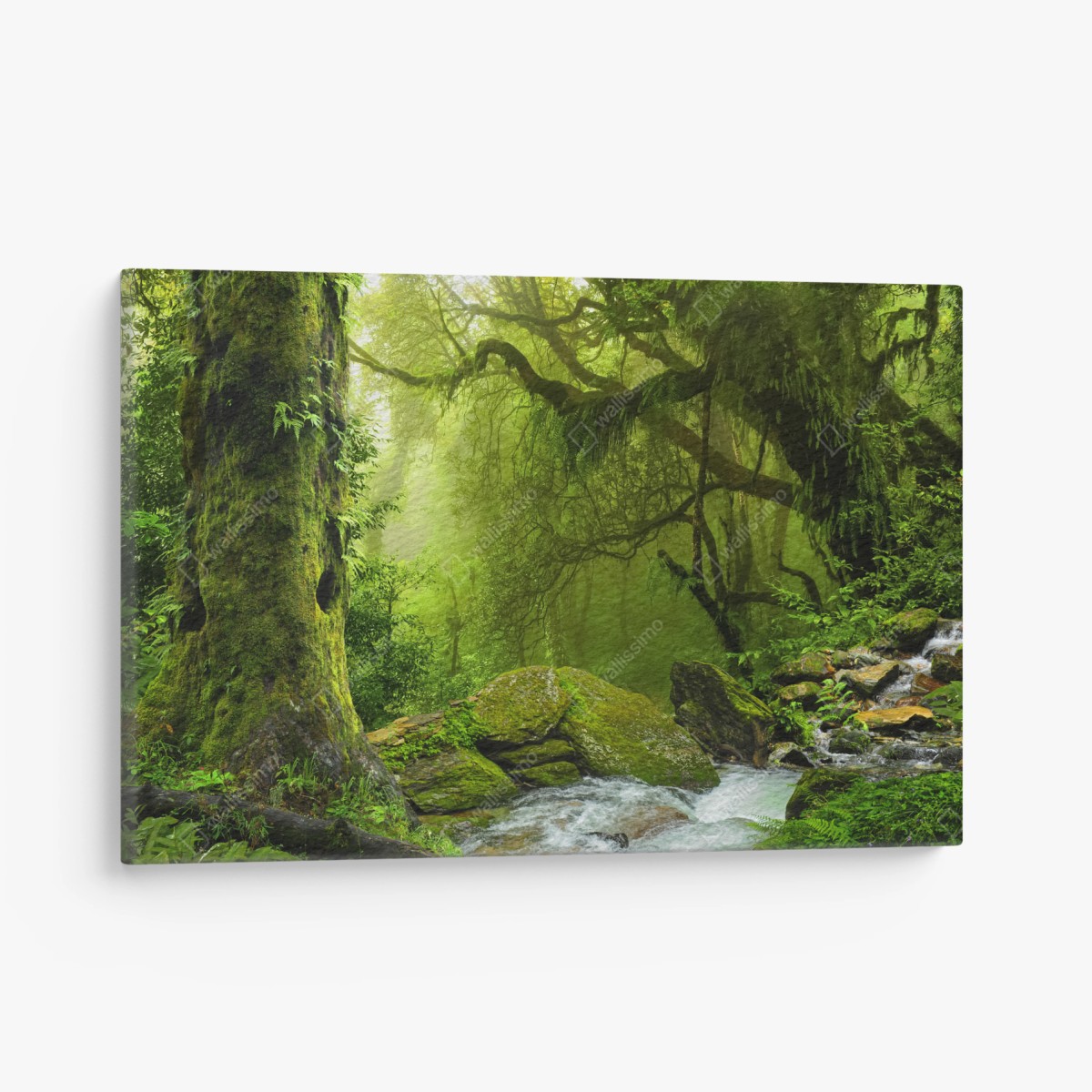 Leinwandbild verzauberter grüner waldbach – Wallnifity®