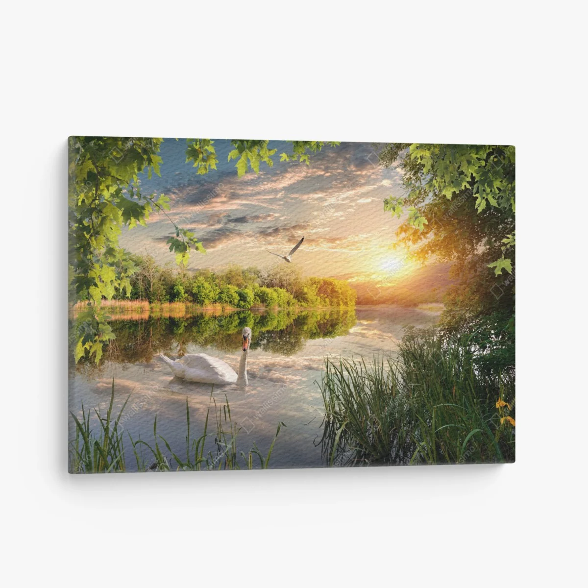 Leinwandbild sonnenuntergang mit schwan auf stillem see – Wallnifity® Leinwandbild sonnenuntergang mit schwan auf stillem see – Wallnifity®
