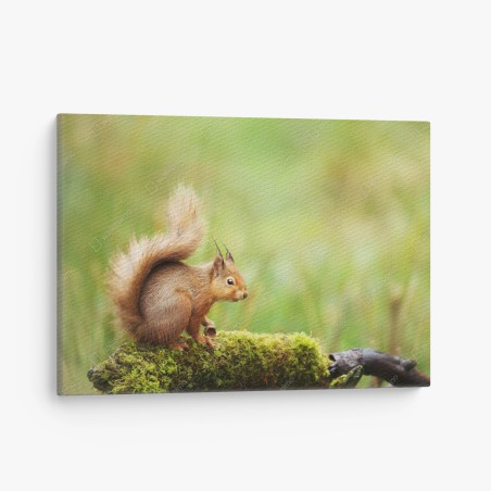 Leinwandbild rotes eichhörnchen auf moosigem stamm – Wallnifity®