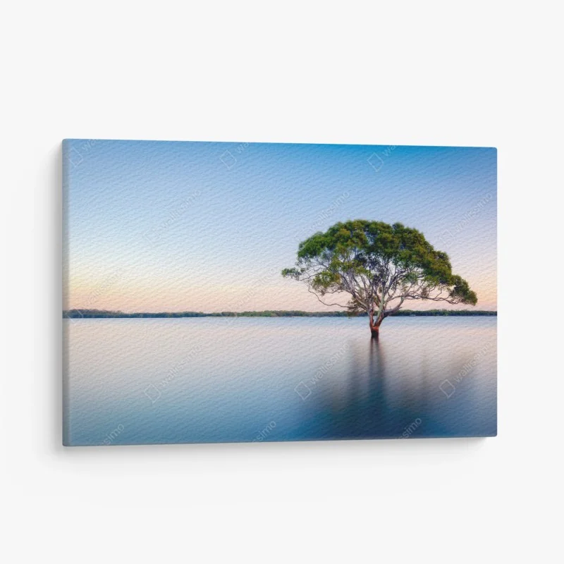 Leinwandbild einsamer baum am stillen see