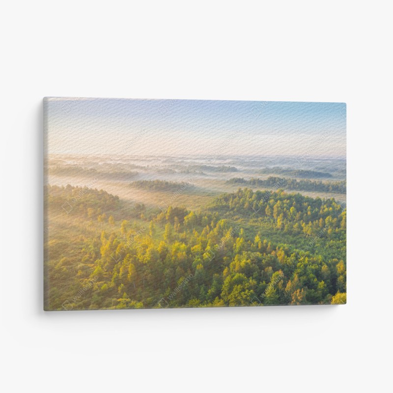 Leinwandbild nebliger morgen im sumpf von Zvanets