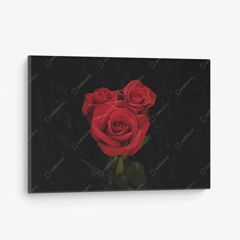 Leinwandbild zärtliche pferdefreundschaft – Wallnifity®