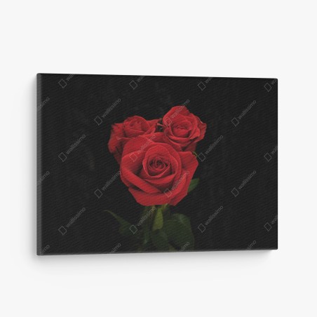 Leinwandbild rote rosen vor schwarzem hintergrund – Wallnifity®