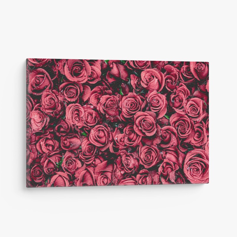 Leinwandbild pralle rote rosen wandbild