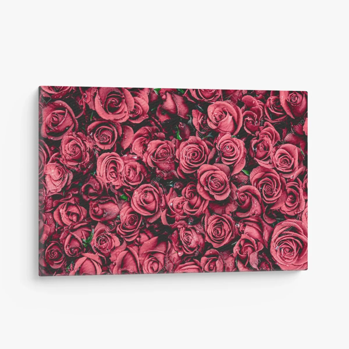 Leinwandbild pralle rote rosen wandbild – Wallnifity® Leinwandbild pralle rote rosen wandbild – Wallnifity®