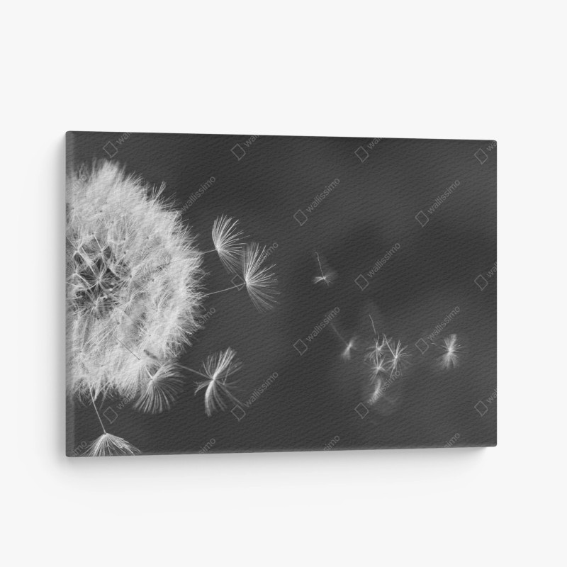 Leinwandbild feine botanische linienzeichnung mit blumen – Wallnifity®