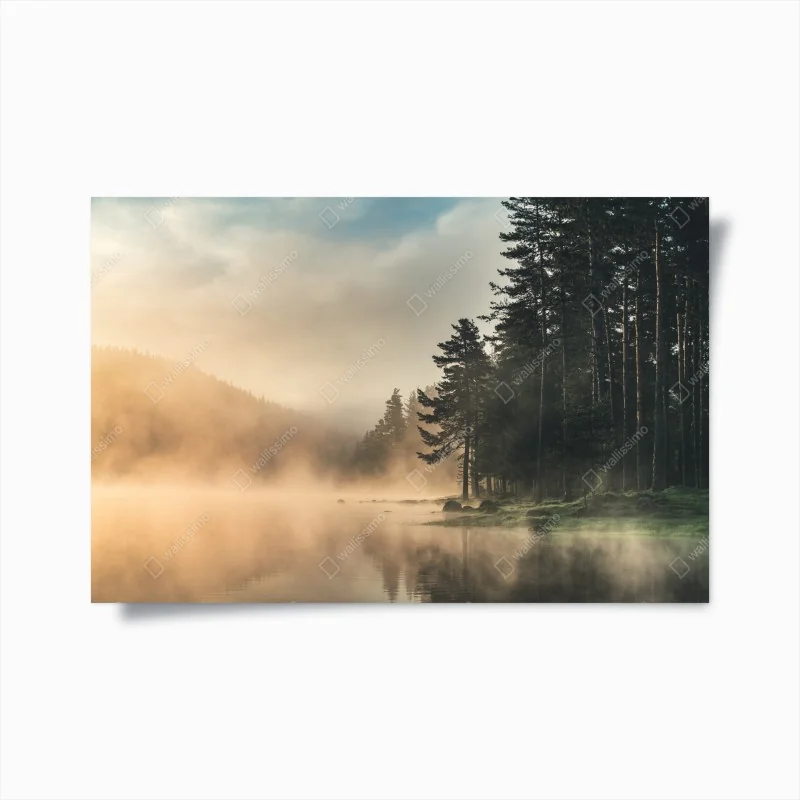 Poster nebliger sonnenaufgang über waldsee