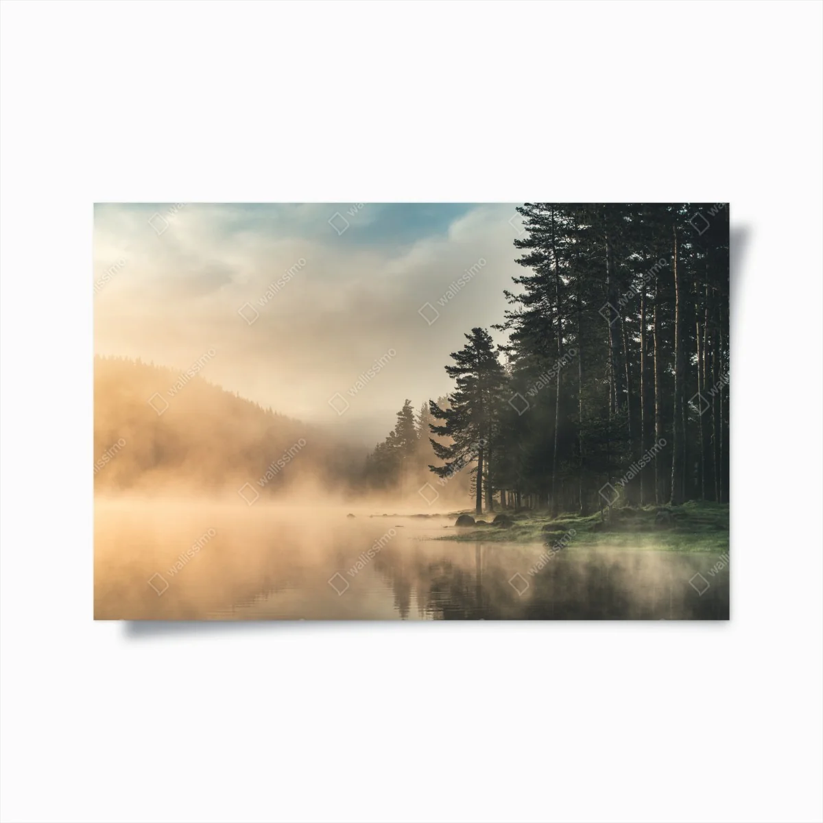 Poster nebliger sonnenaufgang über waldsee – Wallnifity® Poster nebliger sonnenaufgang über waldsee – Wallnifity®