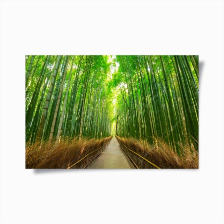 Poster ruhiger bambusweg in Kyoto – Wallnifity®