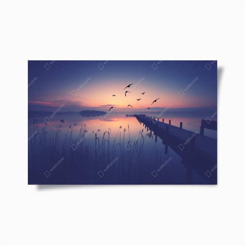 Poster ruhiger hölzerner steg durch grünen wald – Wallnifity®