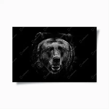 Poster düsteres grizzly-porträt in monochrom – Wallnifity®