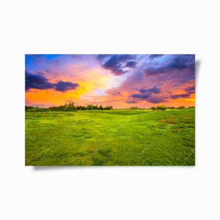 Poster sonnenuntergang über grüner wiese – Wallnifity®