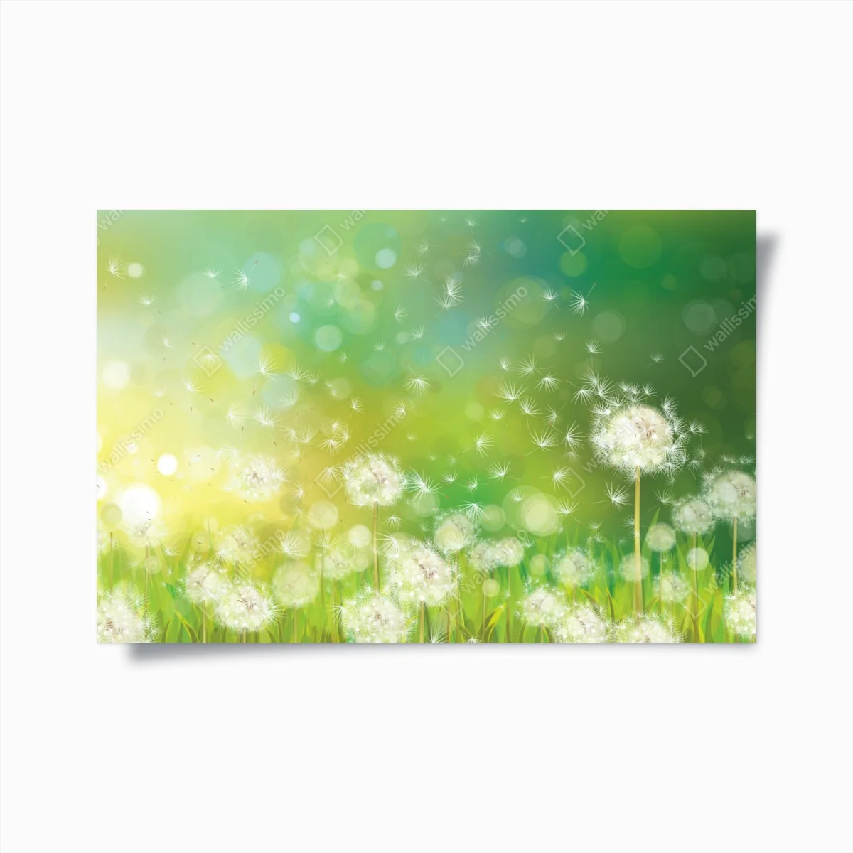 Poster frühlingswiese mit löwenzahn – Wallnifity®