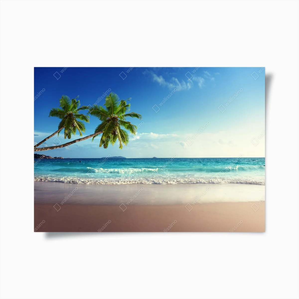 Poster tropischer Karibikstrand bei sonnenuntergang – Wallnifity®