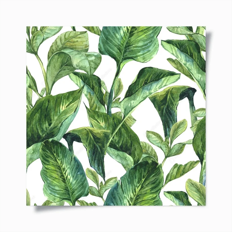 Poster alpenwiese und bergpfad – Wallnifity®