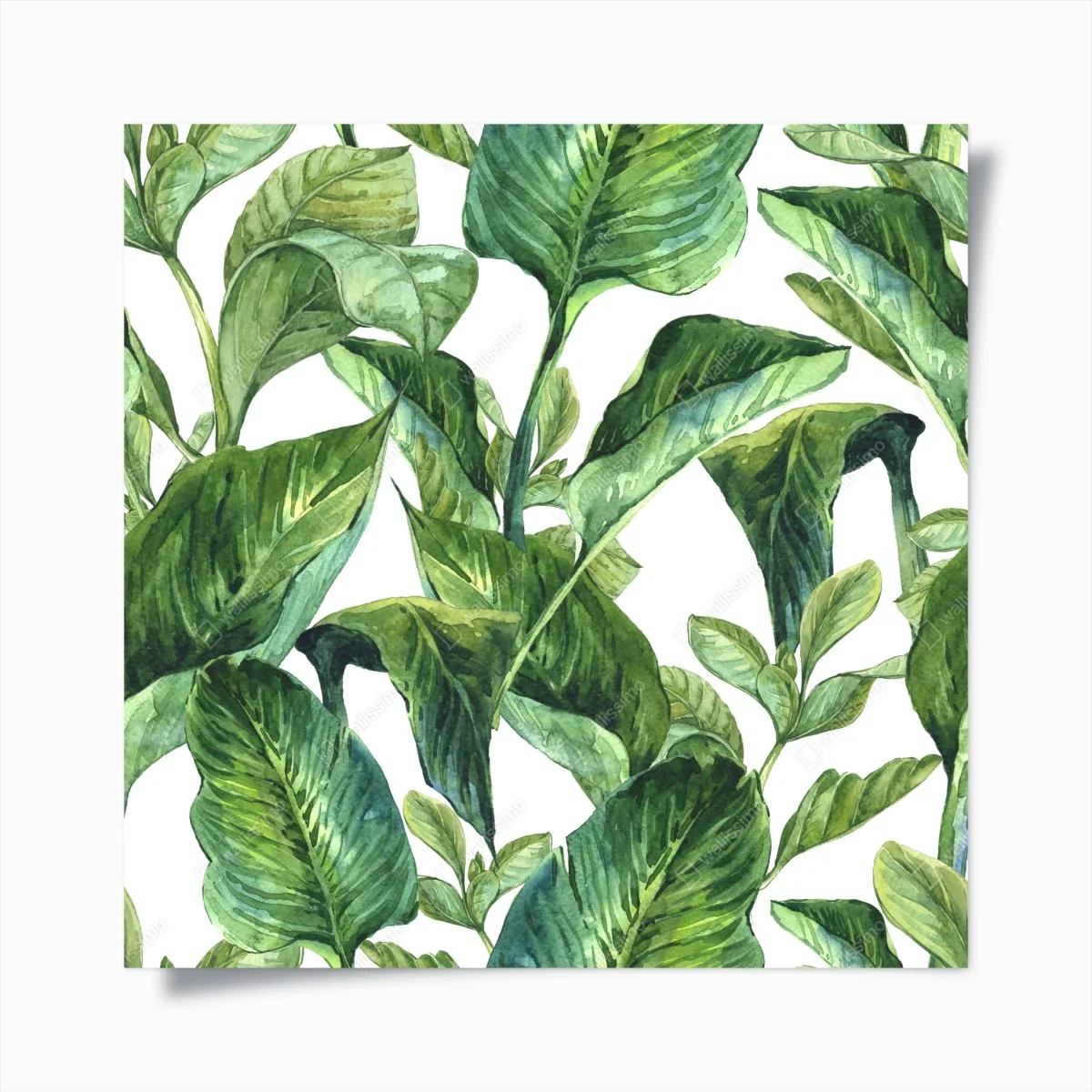 Poster üppiges aquarellmuster tropischer blätter – Wallnifity®