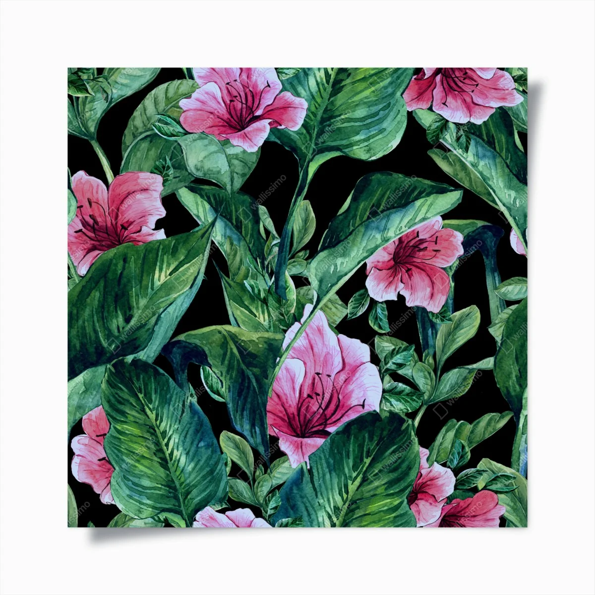 Poster rosa aquarellblumen auf schwarzem hintergrund – Wallnifity®