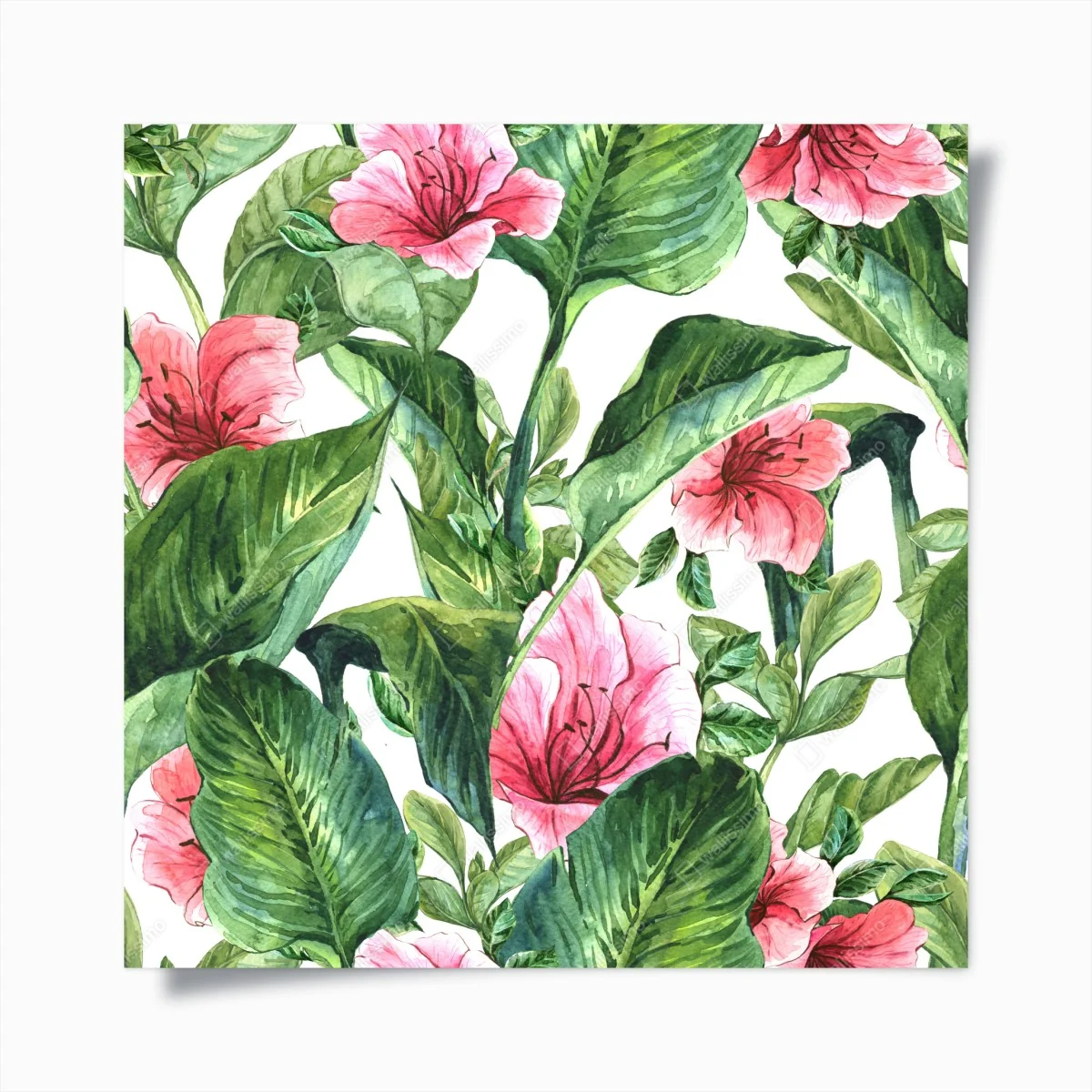 Poster rosa aquarell blumen botanikmotiv – Wallnifity®