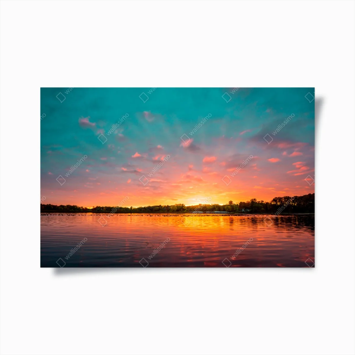 Poster türkisfarbener sonnenuntergang über ruhigem see – Wallnifity®