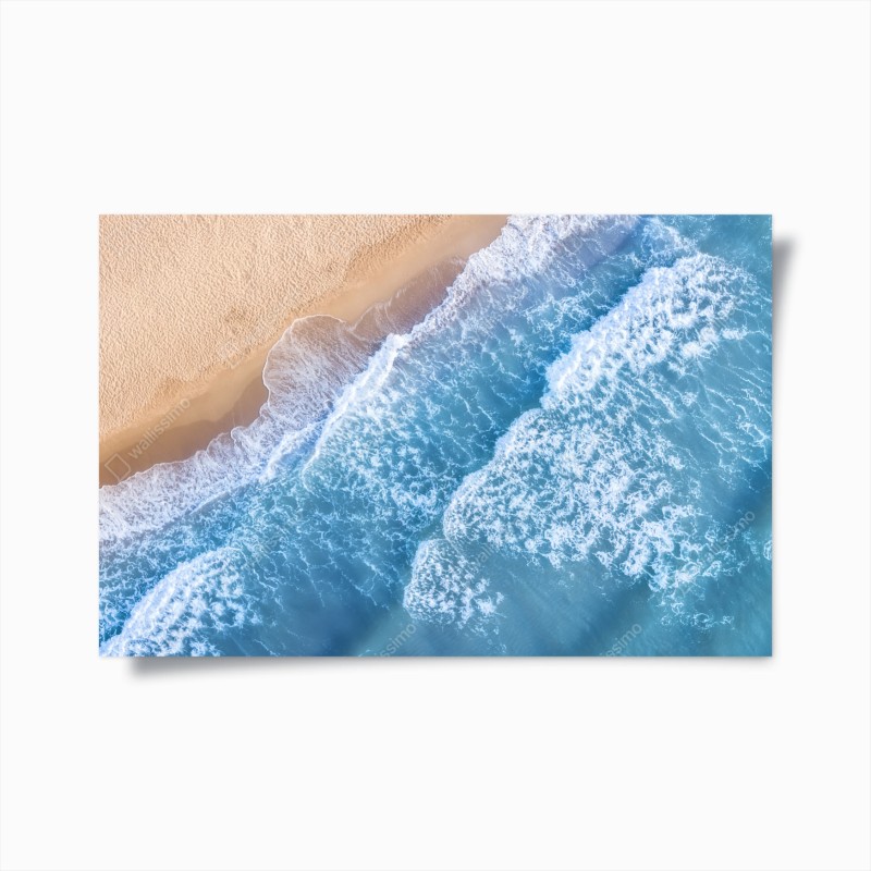 Poster ruhevoller lotus in graustufen – Wallnifity®