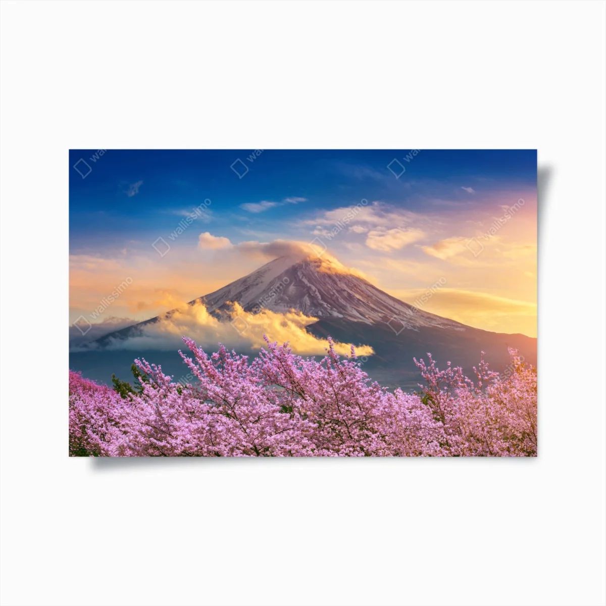 Poster Berg Fuji mit blühenden kirschblüten bei sonnenaufgang – Wallnifity® Poster Berg Fuji mit blühenden kirschblüten bei sonnenaufgang – Wallnifity®