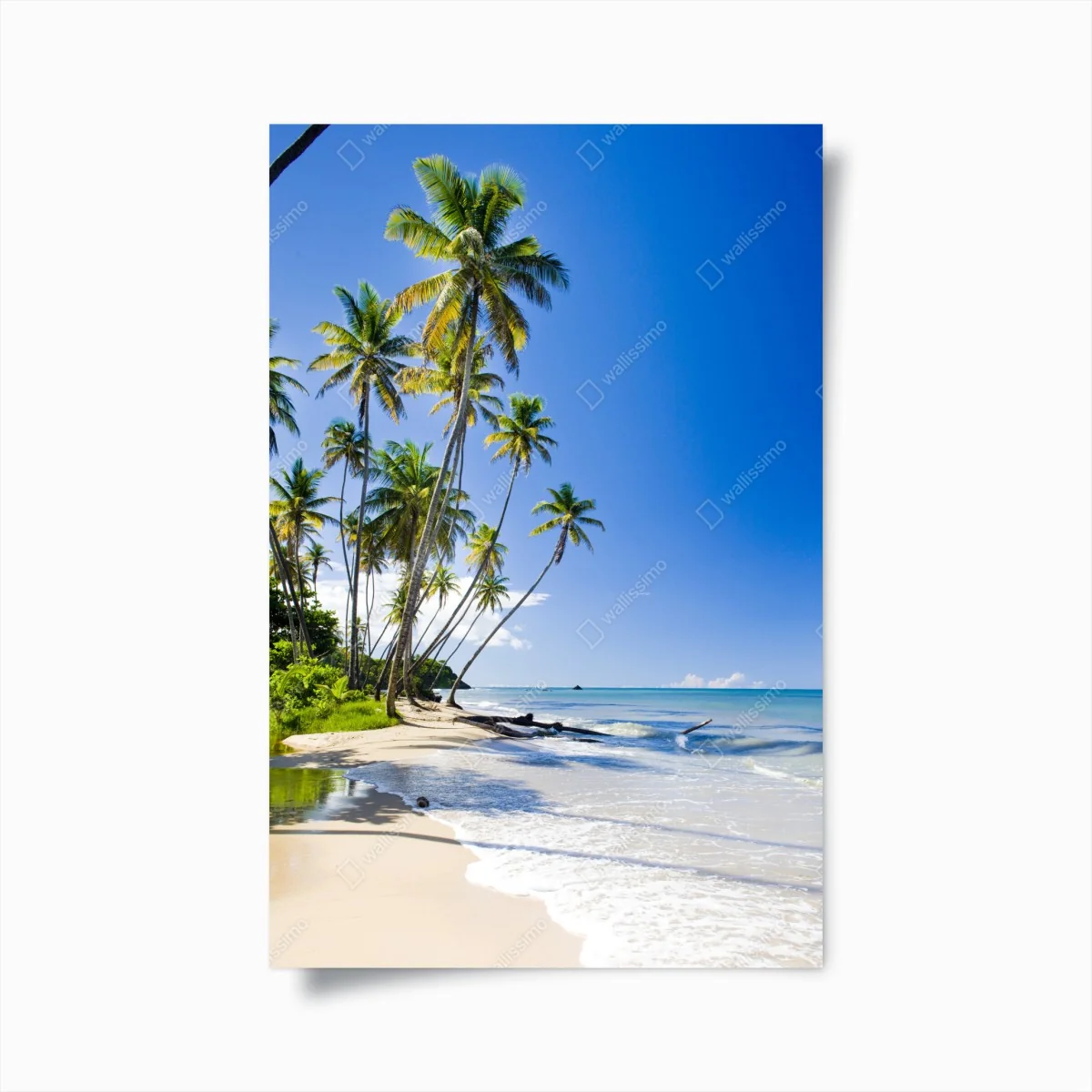 Poster tropischer palmenstrand unter blauem himmel – Wallnifity® Poster tropischer palmenstrand unter blauem himmel – Wallnifity®