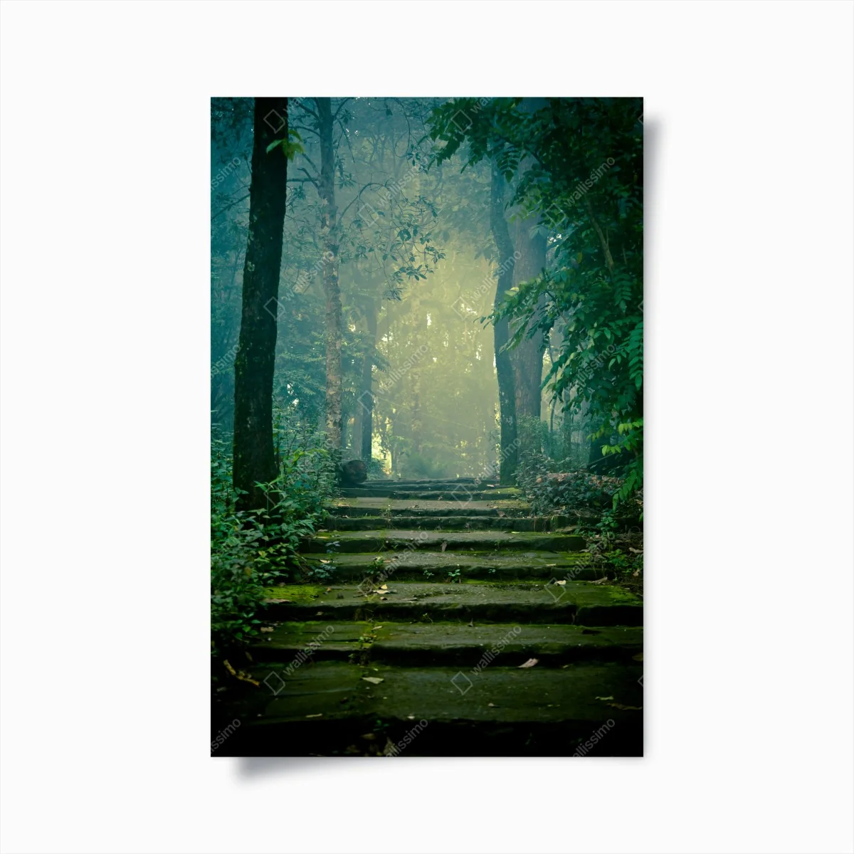 Poster moosbedeckte steintreppe in den nebligen wald – Wallnifity® Poster moosbedeckte steintreppe in den nebligen wald – Wallnifity®