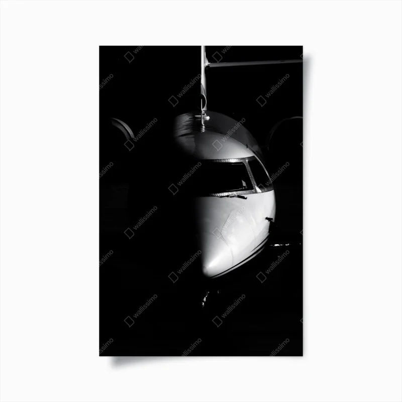 Poster monochromes porträt der flugzeugnase