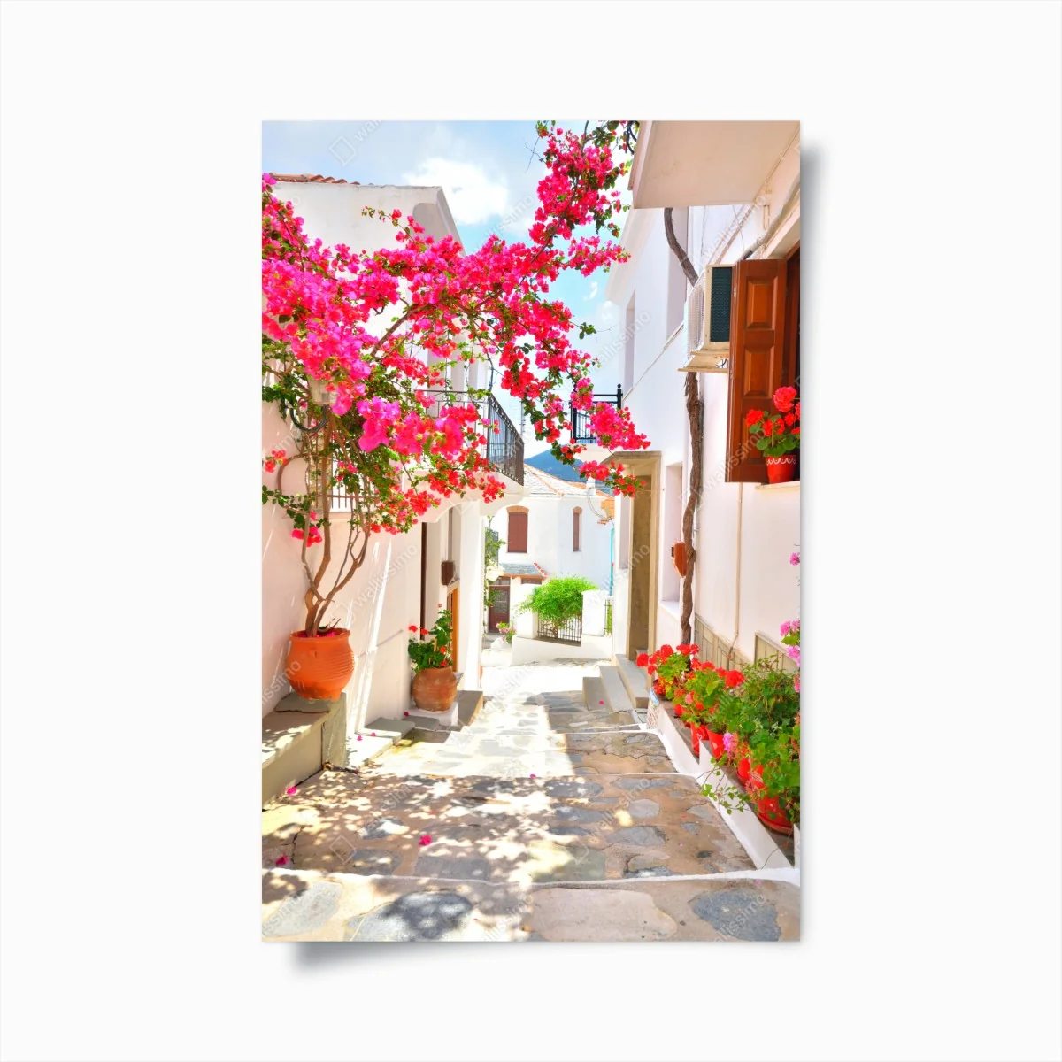 Poster sonnige mediterrane gasse mit bougainvillea – Wallnifity®