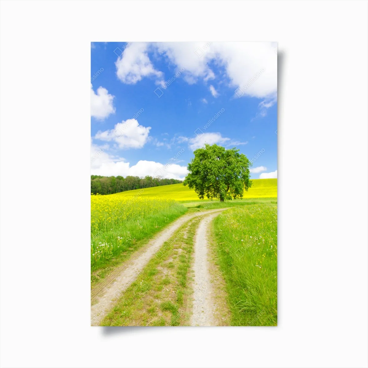 Poster sonniger feldweg mit einsamem baum – Wallnifity® Poster sonniger feldweg mit einsamem baum – Wallnifity®
