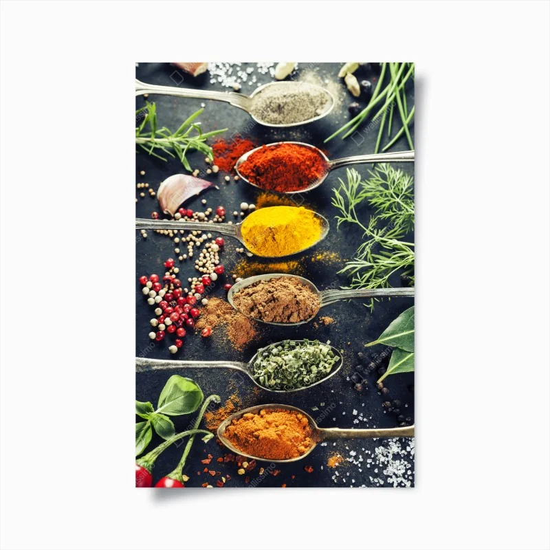 Poster komposition aus gewürzen und kräutern