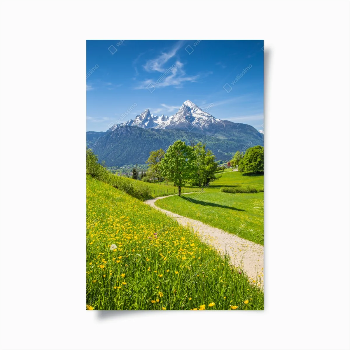 Poster alpenwiese und bergpfad – Wallnifity® Poster alpenwiese und bergpfad – Wallnifity®