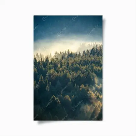 Poster nebliger kiefernwald im morgenlicht – Wallnifity®