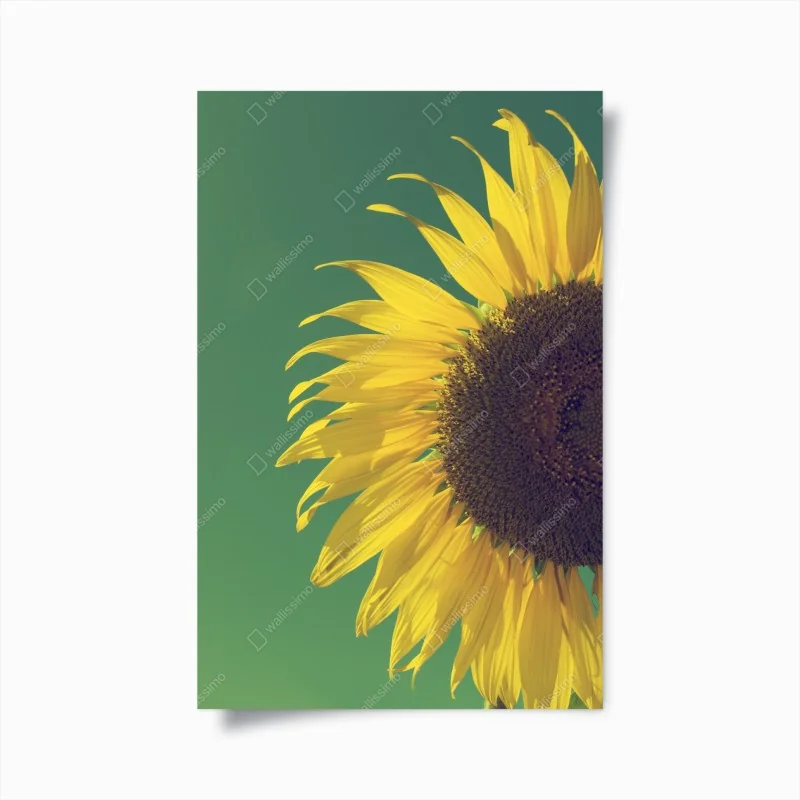 Poster strahlende sonnenblume vor vintage-himmel