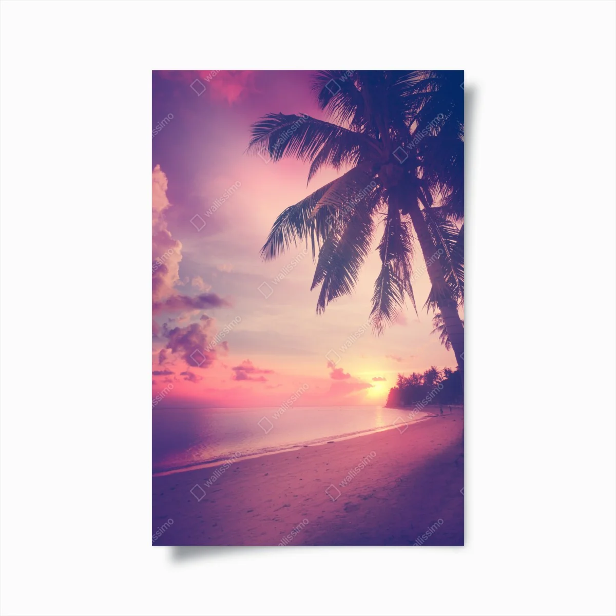 Poster tropischer sonnenuntergang am strand – Wallnifity®