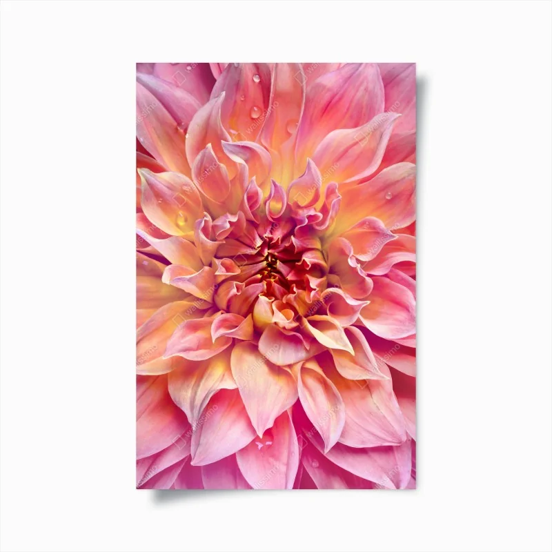 Poster zarte löwenzahnsamen auf schwarzem hintergrund – Wallnifity®