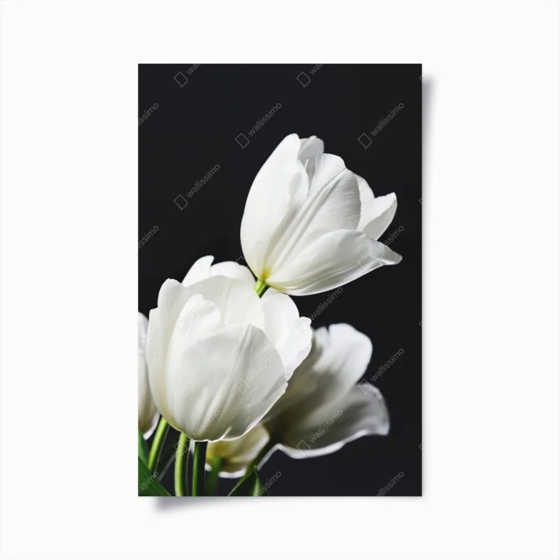 Poster pastellrosa geometrisches dreieck – Wallnifity®