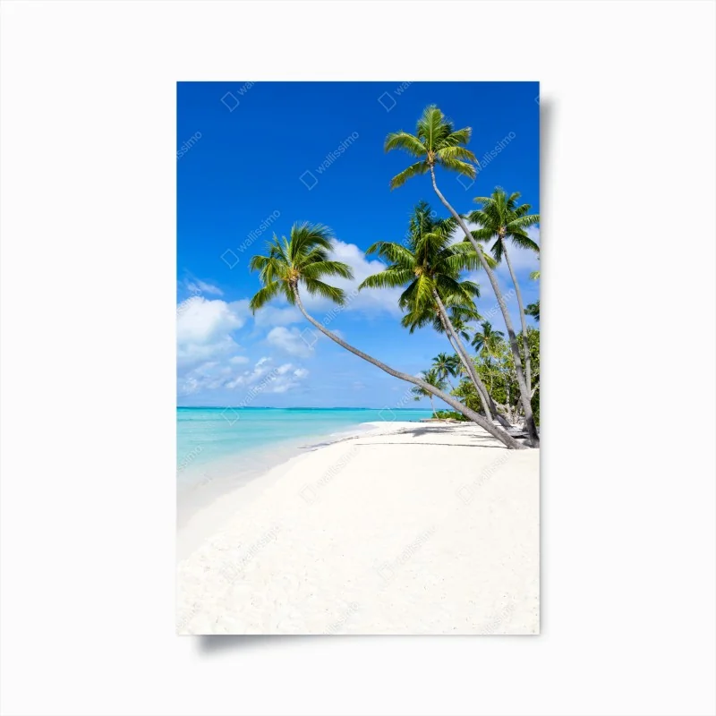 Poster rote farbtröpfchen auf weißem ei – Wallnifity®