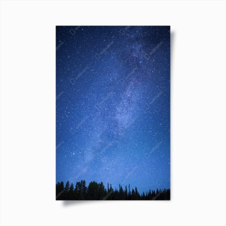 Poster sternenklare Milchstraße über dem Wald – Wallnifity®