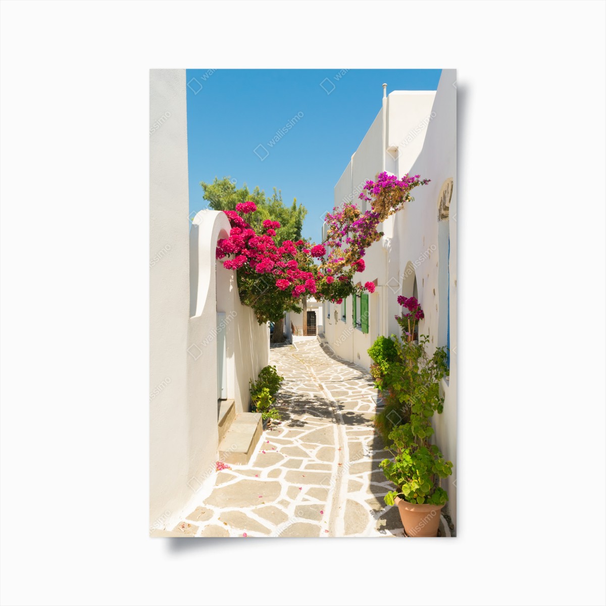 Poster sonnige mediterrane gasse mit bougainvillea – Wallnifity®