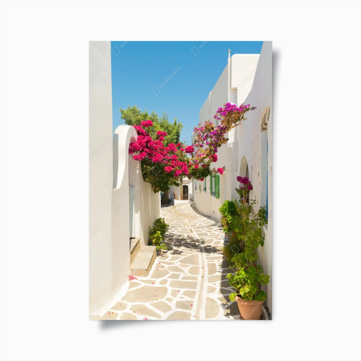 Poster sonnige mediterrane gasse mit bougainvillea – Wallnifity® Poster sonnige mediterrane gasse mit bougainvillea – Wallnifity®