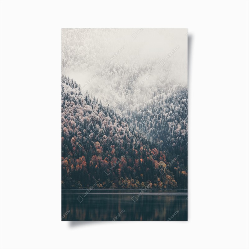 Poster alpenwiese und bergpfad – Wallnifity®